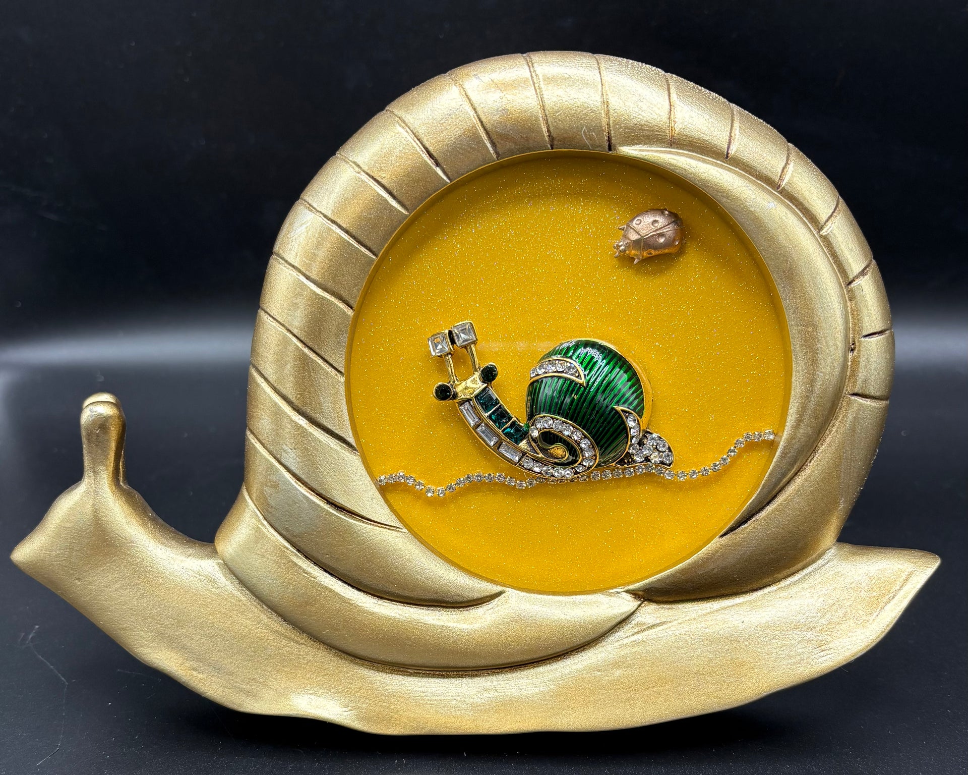Snail Sonogram
