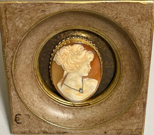Cameo O My